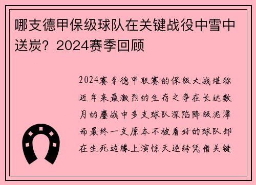 哪支德甲保级球队在关键战役中雪中送炭？2024赛季回顾